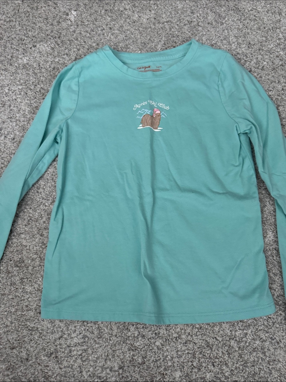 Cat & Jack Aqua Long-Sleeve Tee with Ski Club Graphic